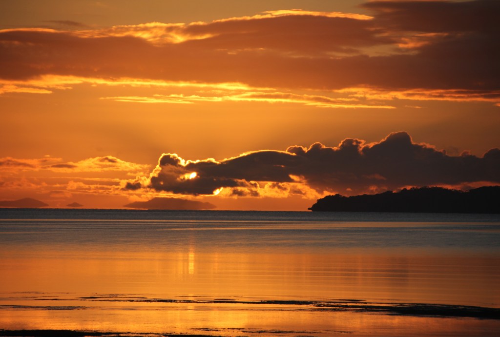 Just orange. 10x12 canvas $250