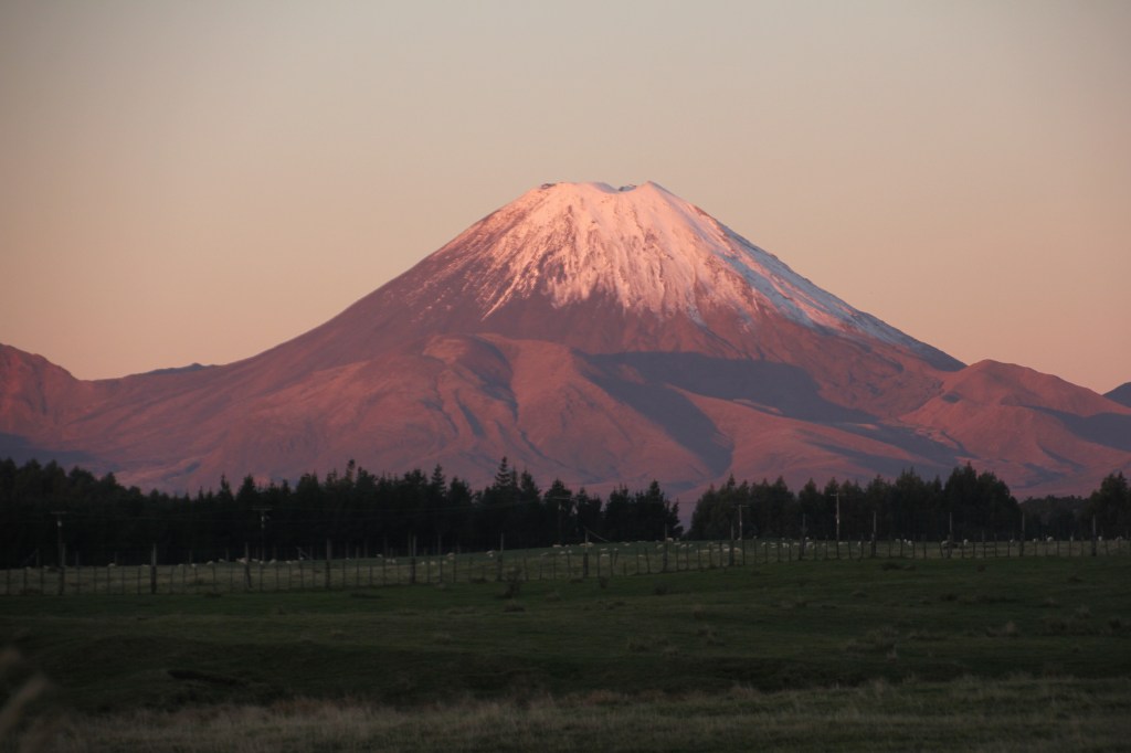 Taken from SH4 at dusk, Late Autumn 10x12 canvas $300