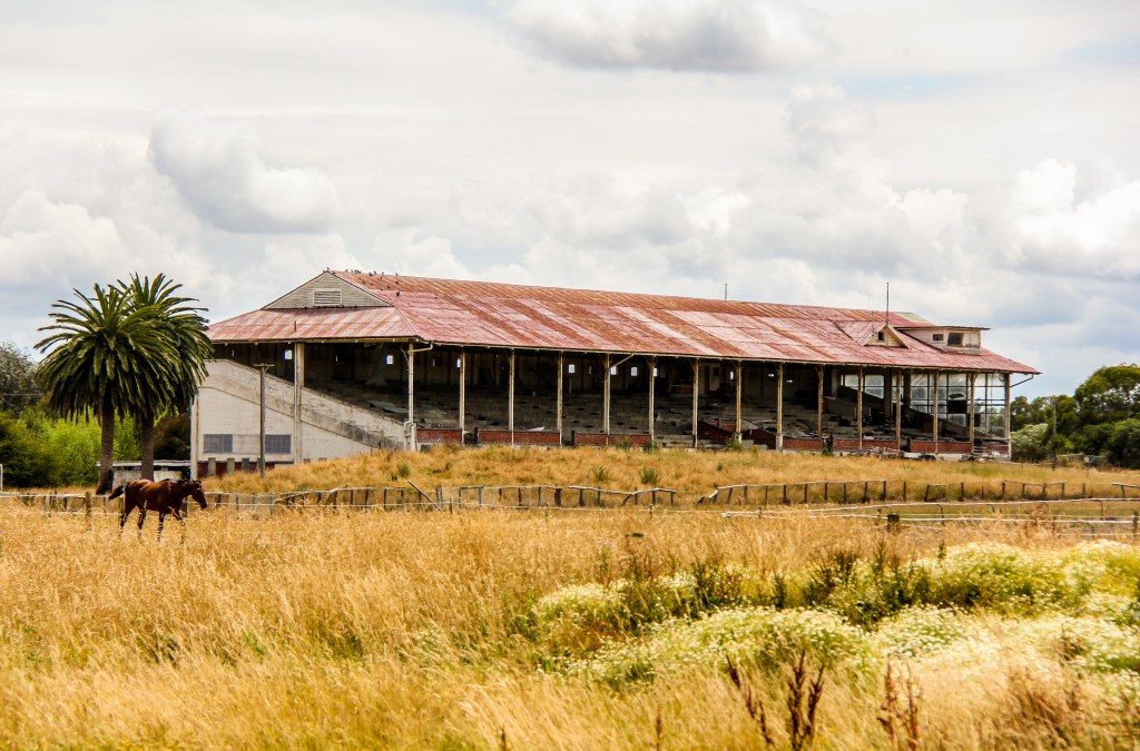 Marton Racecourse grandstand. The crowds moved out in 1980. Maybe nearby Palmerston North was more exciting.