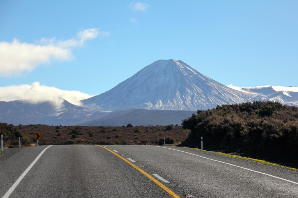 Standing in the middle of SH1. 