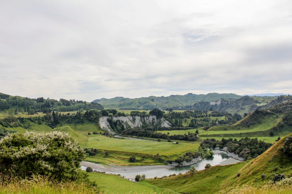 The Rangitikei River. One of our finest, most beautiful winding rivers. Part of it was used as the Anduin River in the Lord of the Rings films. This information seems to have bypassed most of the LOTR fans who head straight for Hobbiton (which is in the Waikato. I'm pleased to say I had to look that up) and the South Island. Not so many Hobbit geeks wandering around the Rangitikei. 