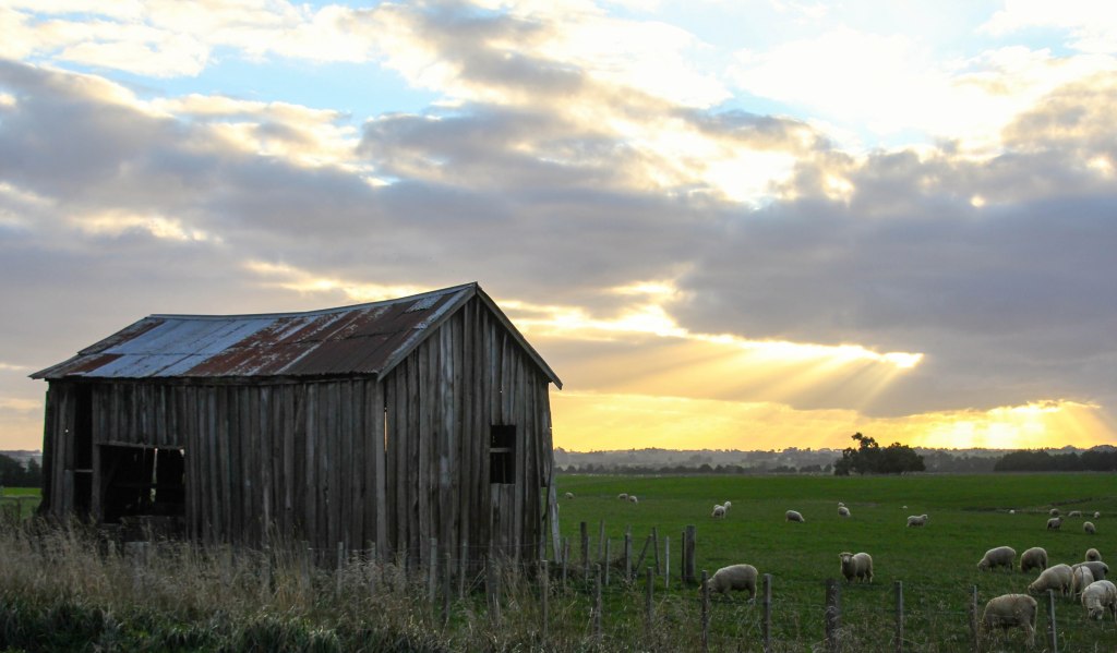 Wonderful old bar with the evening sun striking through. Between Kimbolton and Cheltenham. 8x12 canvas $350