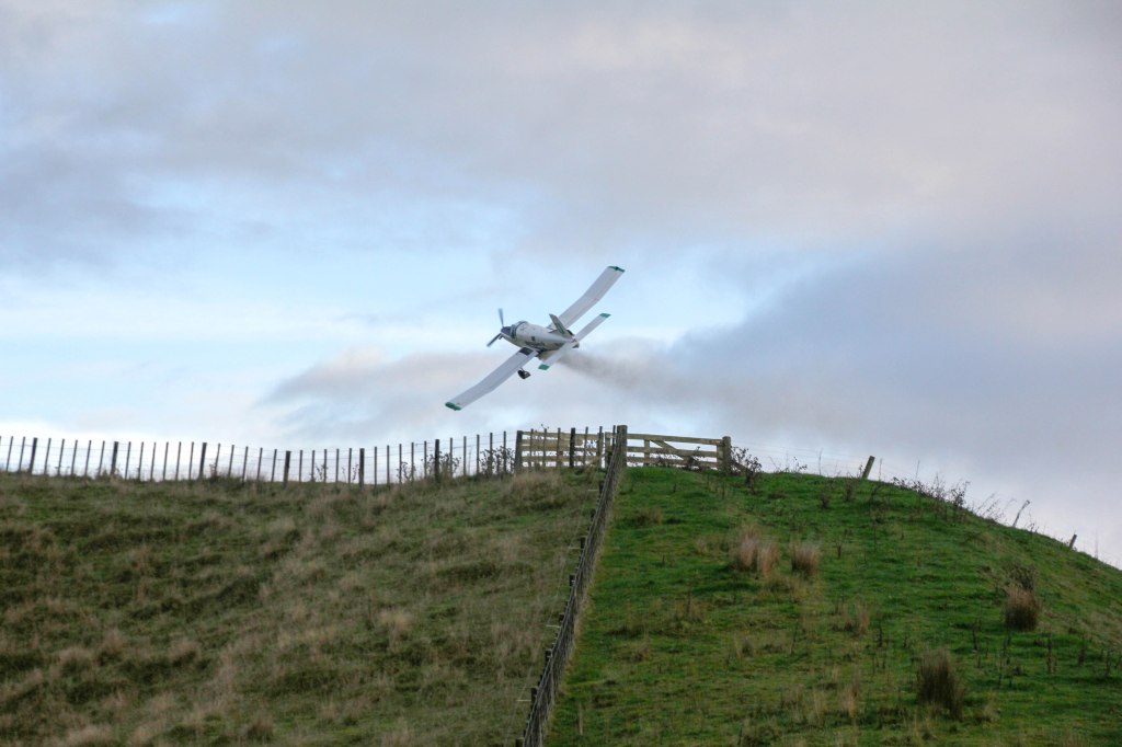 Fletcher flies low over the fence line in the Rangitikei 8x12 canvas $200