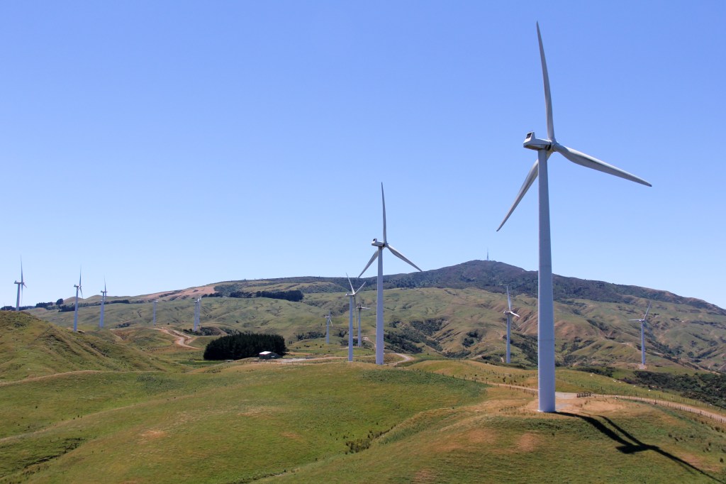 See, more than 3, there are dozens. Most of them are behind me though. 