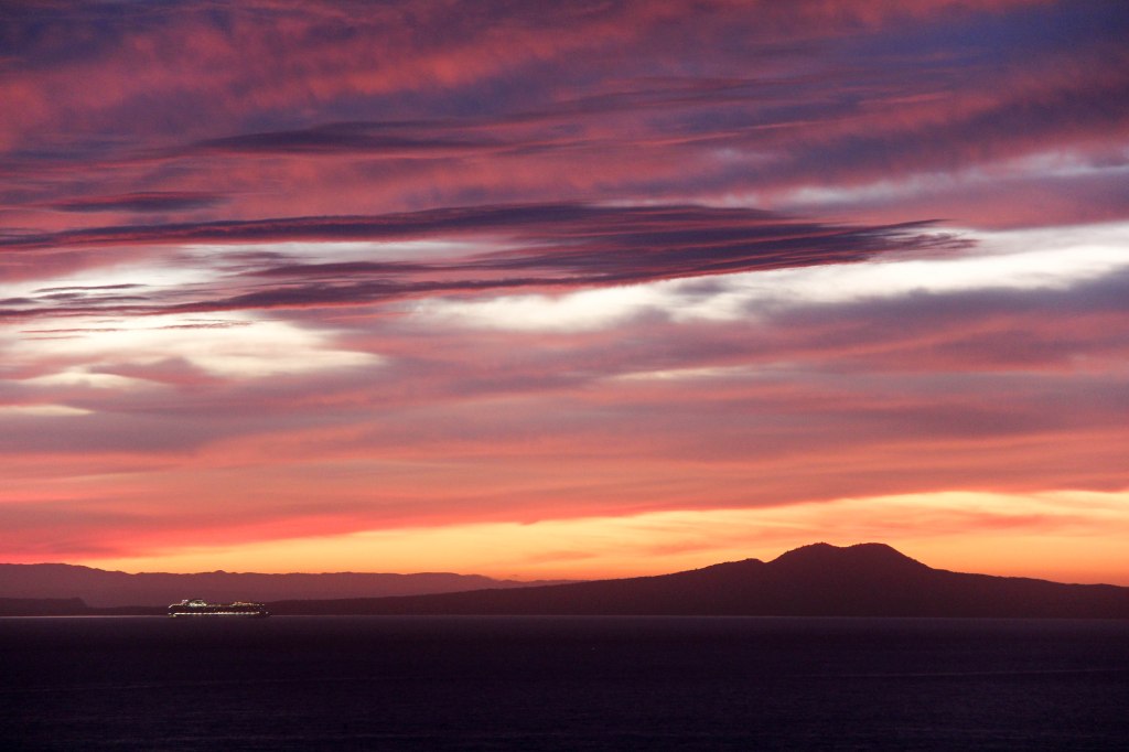 A cruise ship entering the Hauraki Gulf. Which is where you arrive in Auckland from the open sea. Taken at 5:30am. The ship is the Diamond Princess. That's Rangitoto Island behind her. It's quite a scene really. All things considered. 