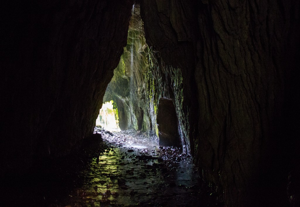 Right inside the cave. Apparently the glow worms come out at night, inside the cave. I know right?