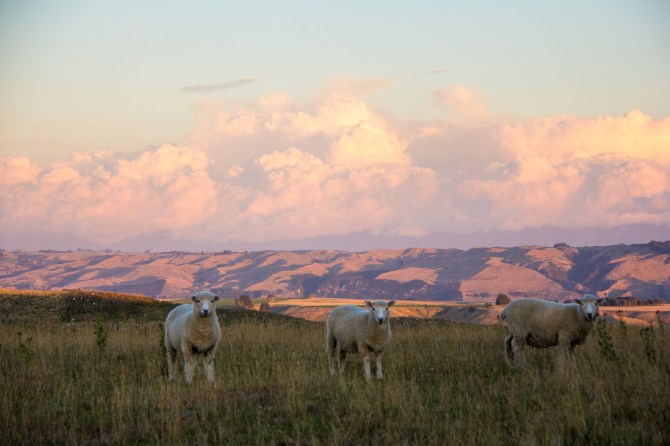 Rule of thirds, New Zealand style. Looking East towards the Manawatu.