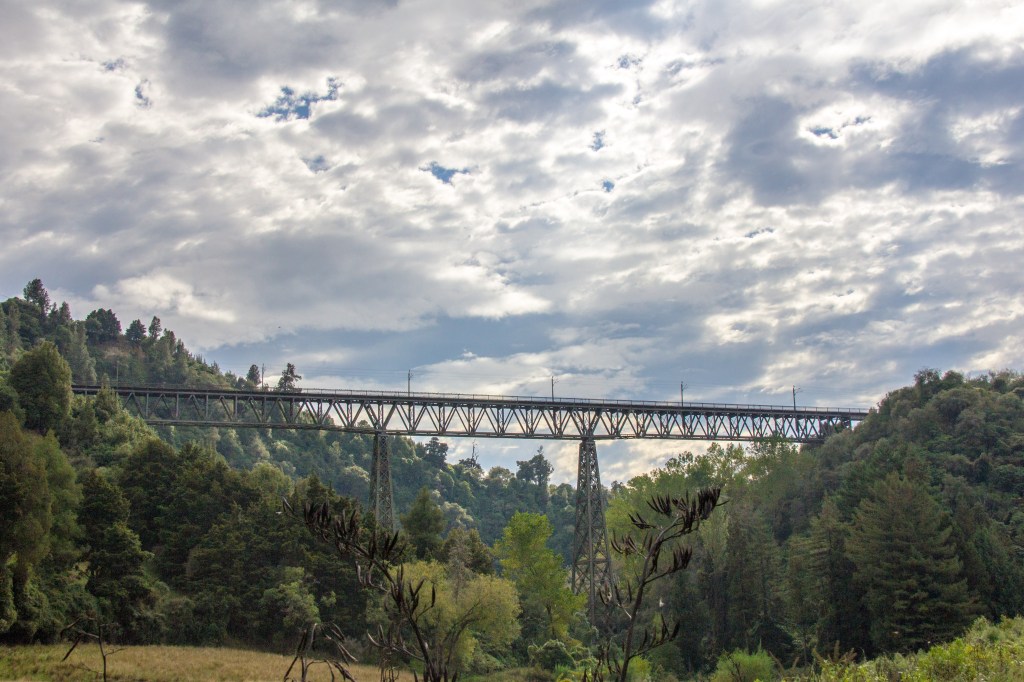 The Makohine Viaduct. For a while it was the tallest viaduct in New Zealand at 73 metres high and 228 metres long. It's no longer the highest viaduct in New Zealand but it is still high. 