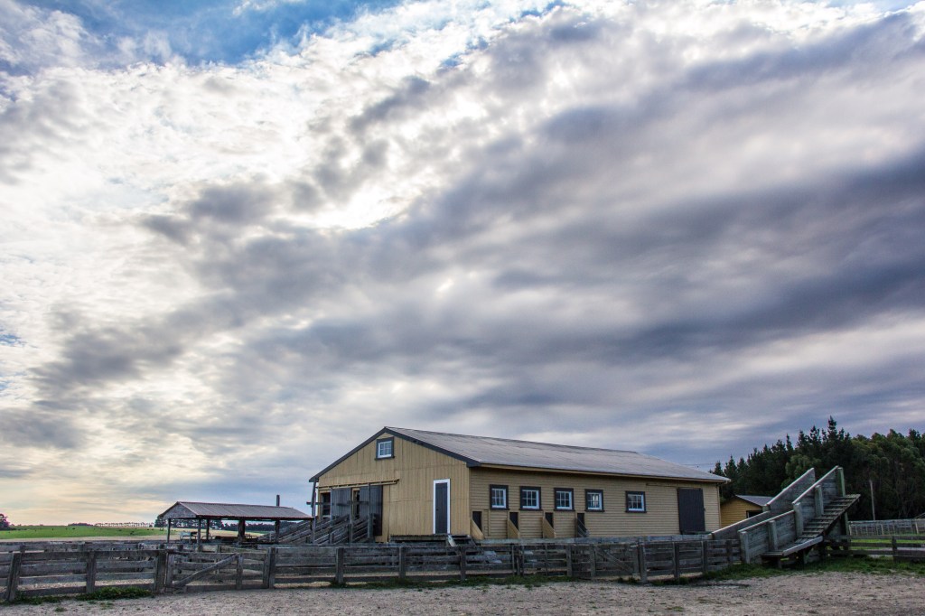A woolshed. I like a woolshed.