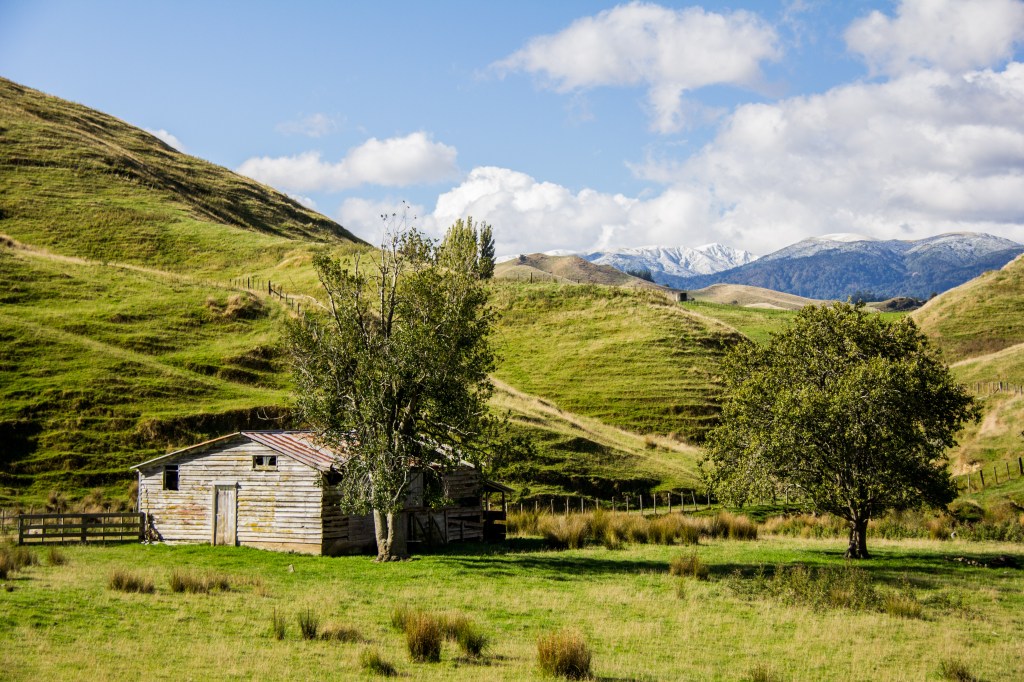 Early snow on the Ruahine's and a fetching barn. Nice
