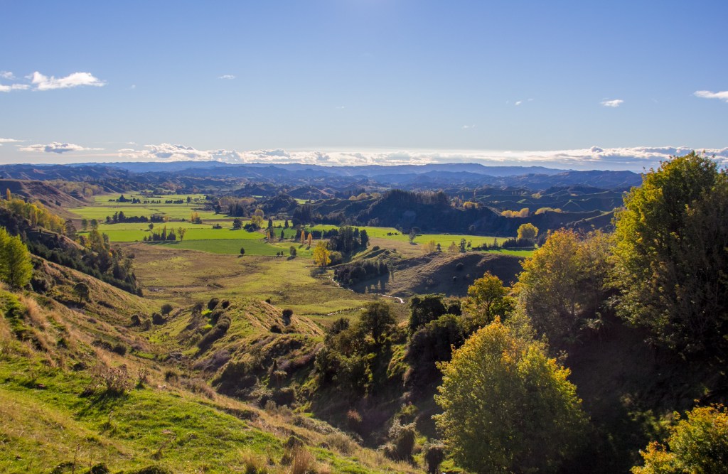 Call that a valley? This is a valley, upper Rangtikei.