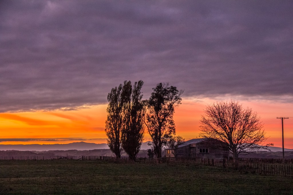 Dawn reflecting on the woolshed, pretty awesome. We have impressive dawns here. Sunrise in another language.