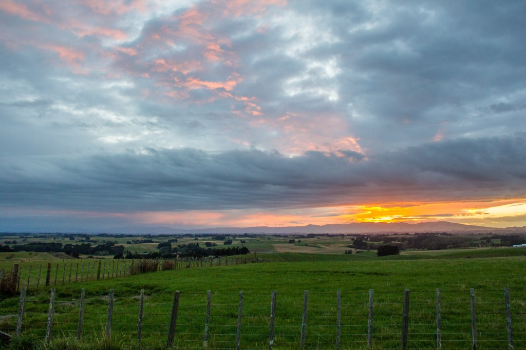 Manawatu Morning