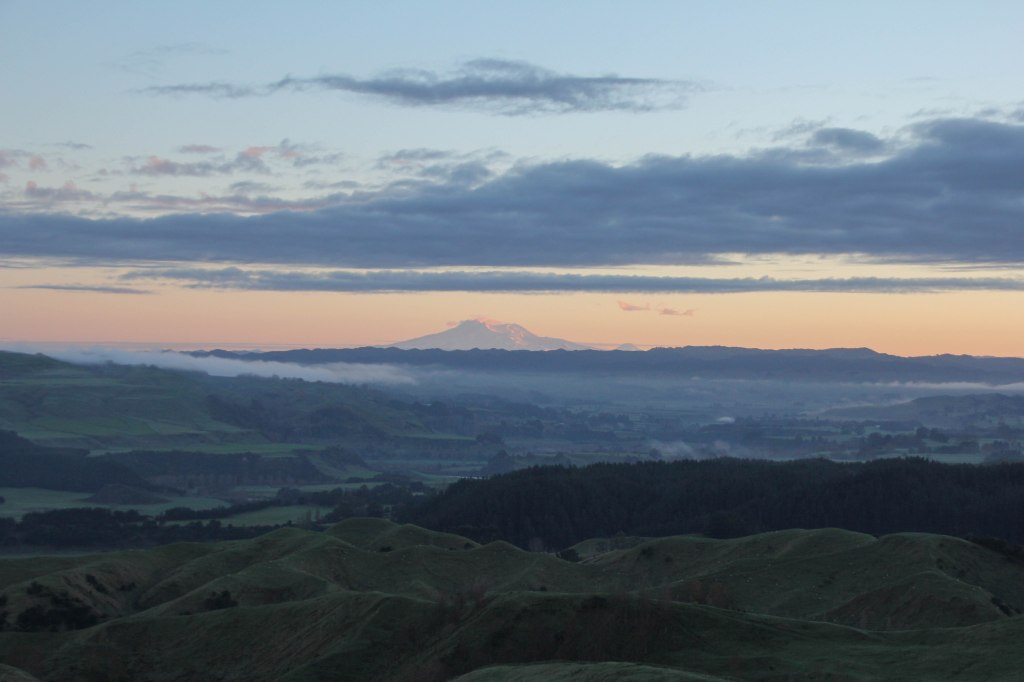 Ruapehu again, over there, miles away in the morning