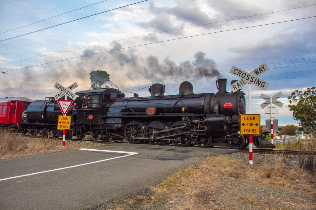 The sign says look for trains, I found one.