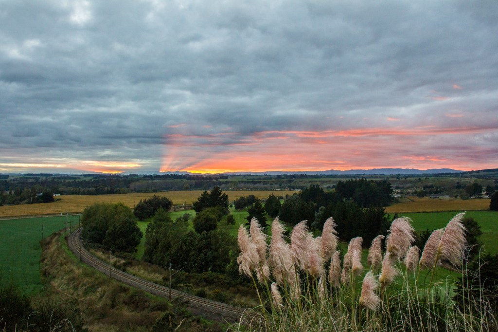 7am or so, from the Feilding-Halcombe road