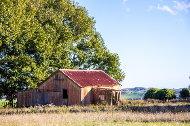 Derelict woolshed, near SH54, the Vinegar Hill road. Nobody knows why it's called Vinegar Hill.