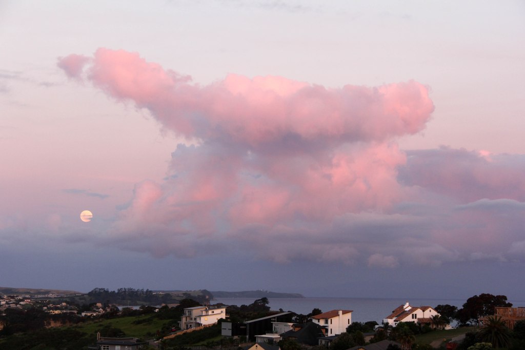 Cumulonimbus. I know I said I wasn't going to name any clouds. But this is amazing. The entire top of the Whangaparoa Peninsula obliterated by a nuclear explosion, is what a Cumulonimbus looks like in this instance