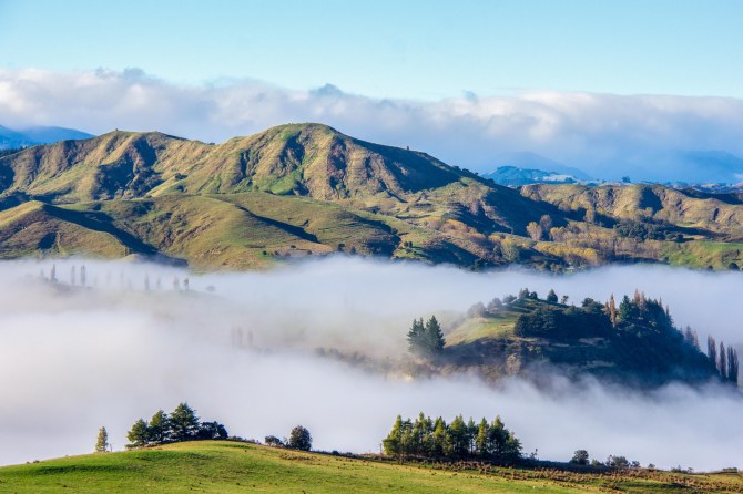Low cloud, early morning in the Rangitikei River Valley. Makes for a cool island in the cloud