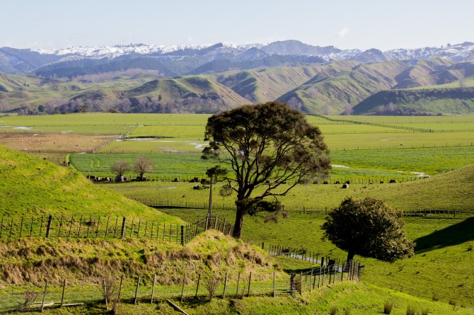 The photo is straight, the trees and power pole are on a lean. Rangitikei farm land