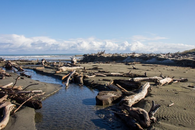 Driftwood beside the outlet to the sea at Himatangi. It's all free, help yourself.