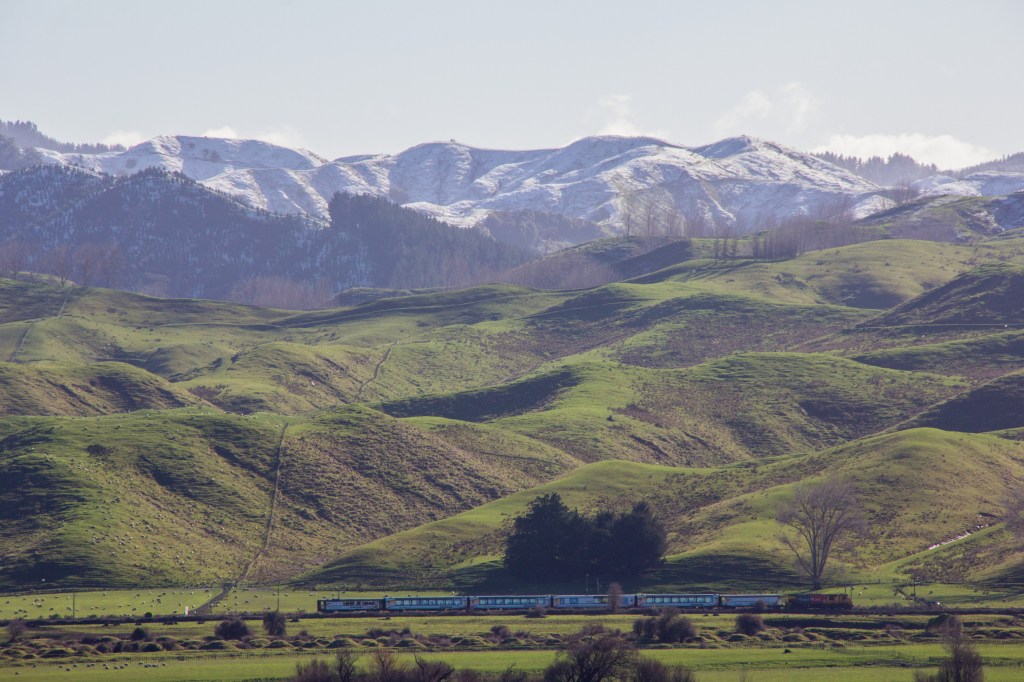 That’s the Kiwi Rail Northern Explorer, passing through the Rangitikei. The only passenger train that runs between Auckland and Wellington. It runs each way, every second day. We aren’t really a nation of train travellers.