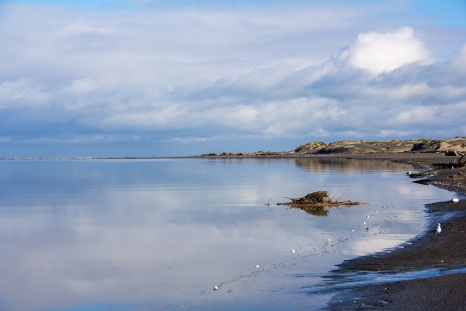 That's looking out to sea across the Manawatu River. Fishing net with attendant Seagull beside the beach.
