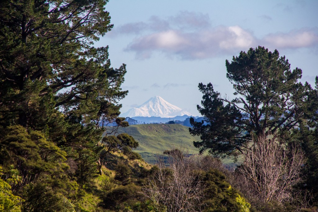 Mt Taranaki through the trees. Those trees are just in front of me, Mt Taranaki is over 180 kilometres away