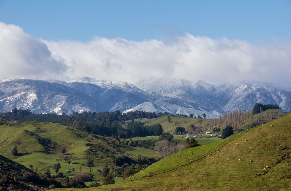 The Ruahine Ranges looming large over a fetching piece of farm land. Manawatu High country. There is high country in the Manawatu contrary to popular opinion.