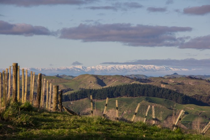 Late afternoon, looking across the Rangitikei from Kauangaroa Road. It's the road from Hunterville to Fordell. 