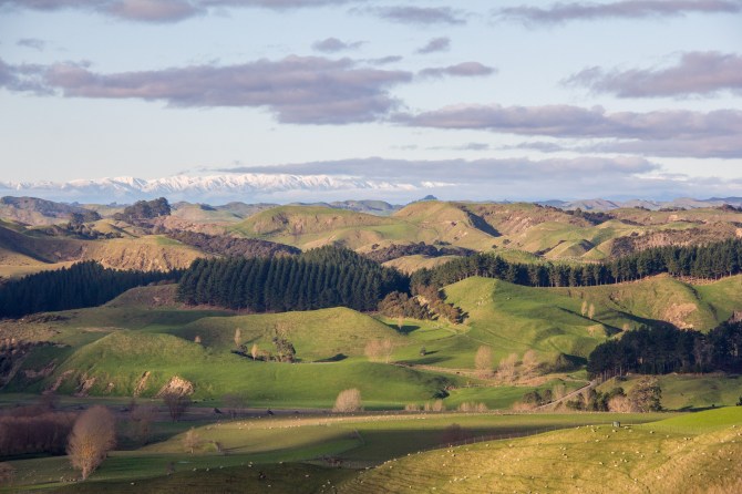 Rangitikei landscape. Lot's of it.
