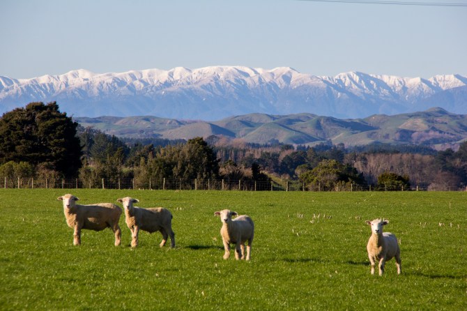 Look! It's New Zealand, all of it in one photograph. Putorino Road, hardly anyone will know where that is but every one who has driven from Taihape to Bulls has driven past it.
