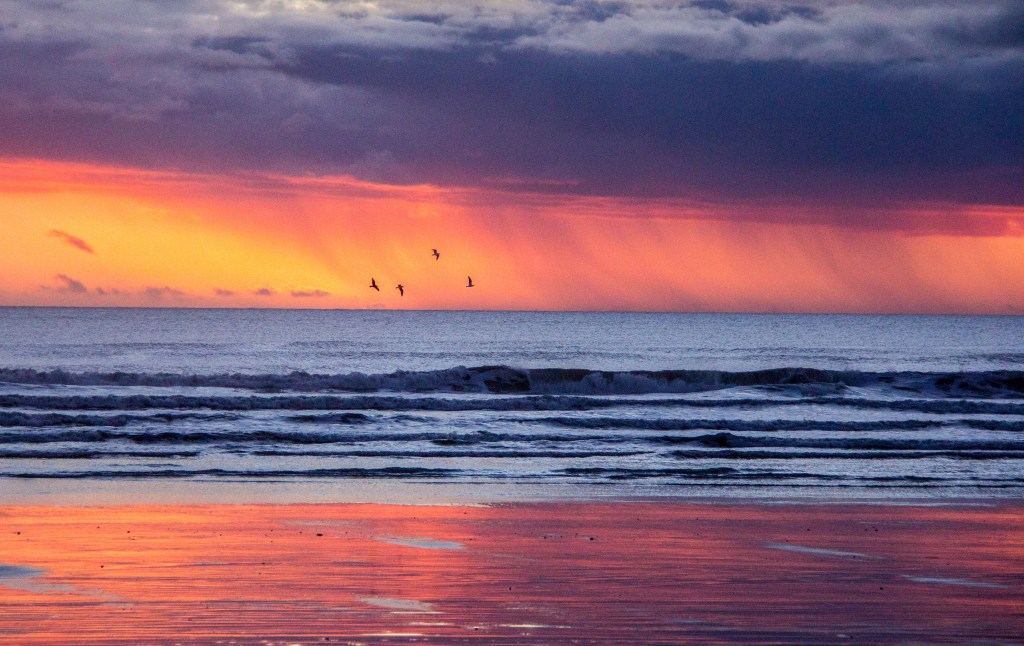 After the day has gone, just after, the light changes again, and some sea birds happen by. 