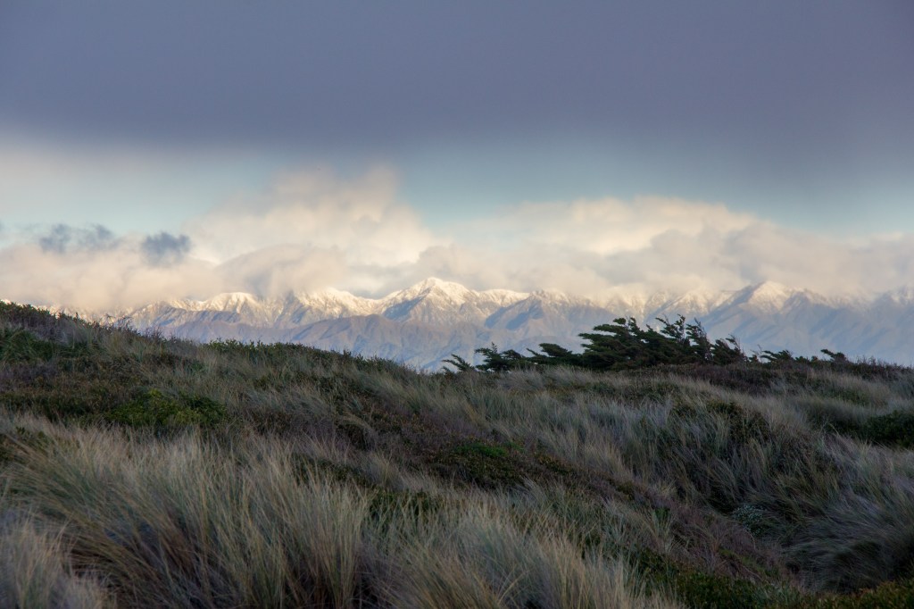 See those photos of the sea? I just simply turned around and photographed this. Those are the Tararua Ranges, they are the backdrop to my place. The wild Tasman Sea in front and the Epic mountains behind me. I like that.