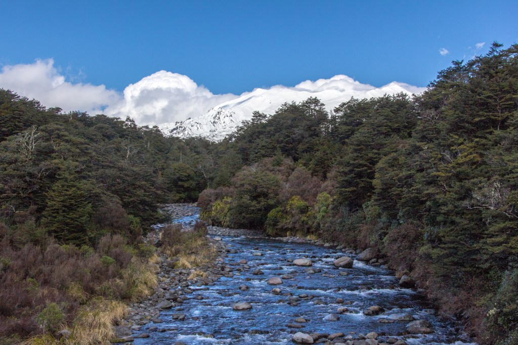 Looking up a Mountain Stream towards Mt Ruapehu. Near National Park