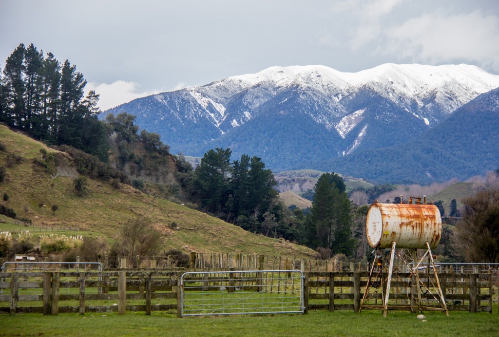 The light was rubbish, photographers would say don't take photos in this sort of light. I don't care.