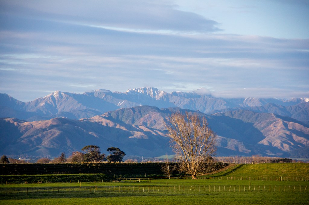 You know what that is? That's an unremarkable view from the side of the road in New Zealand. I bet nobody has ever taken this photo before