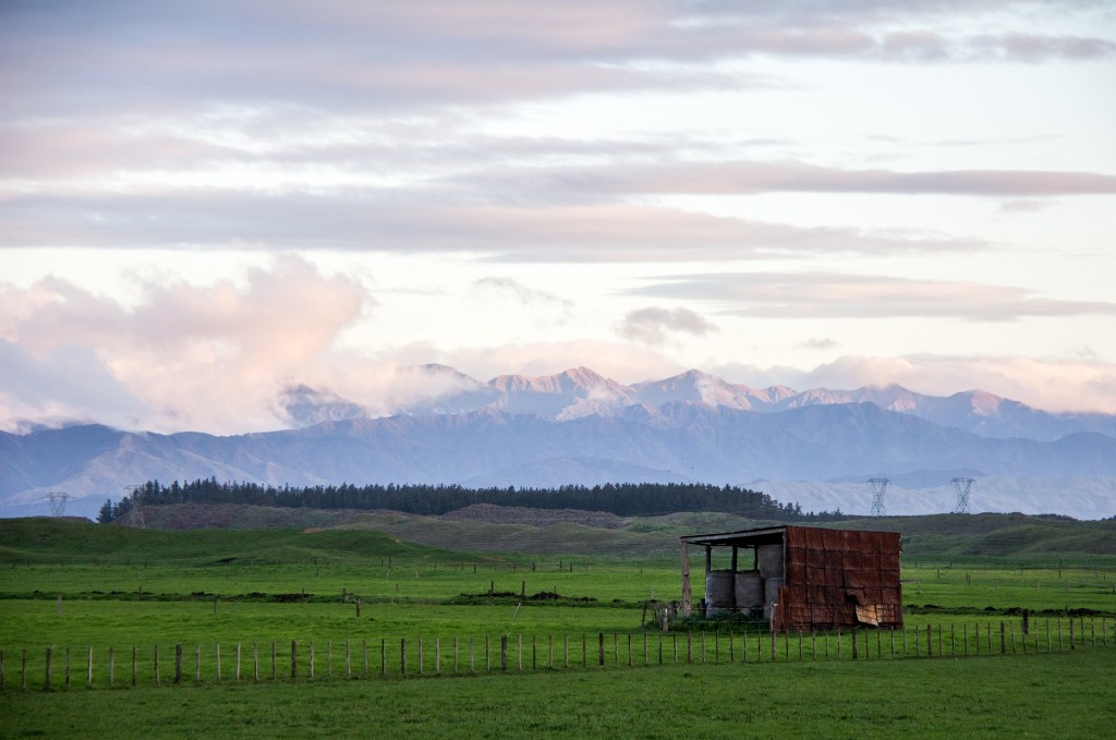 Manawatu, from the road, old hay barn. Tararua Ranges. nothing to see here...