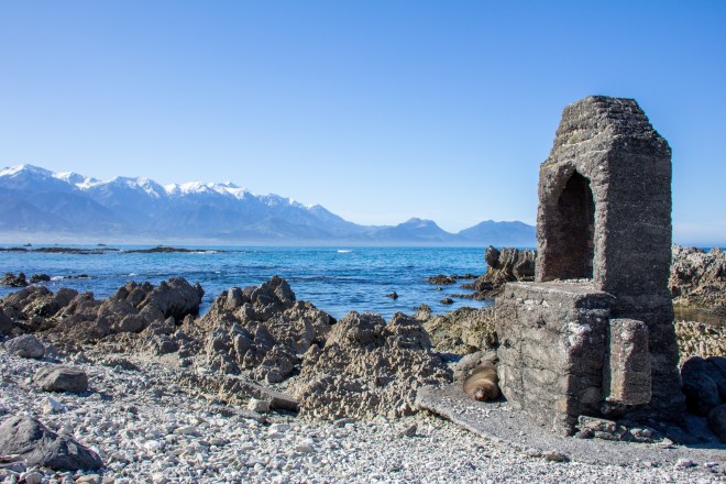 I could call this 'Chimney Seal. You may notice a loafing seal at the base of the old chimney. Looking across to the Kaikoura Ranges