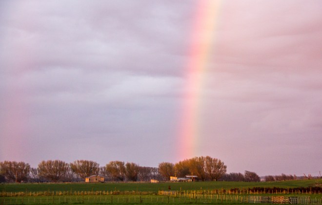 Rainbow, kicking off an early morning, inland.