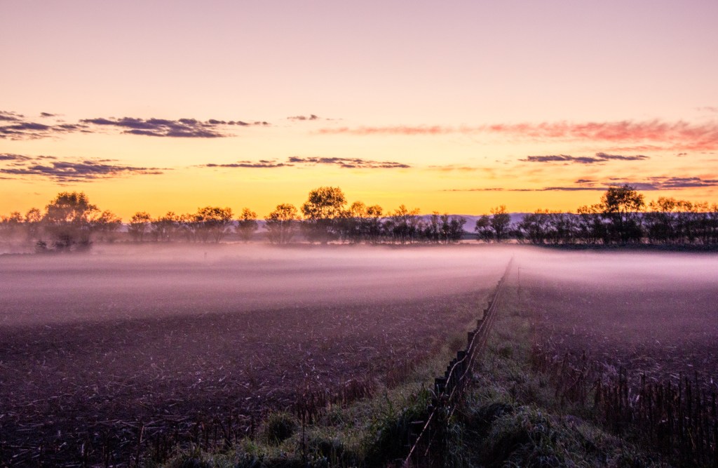 Early morning Manawatu. I drive past this sort of thing from time to time. Manawatu is mostly flat, lying between the Rhine and Tararua Ranges and the Tasman Sea. 