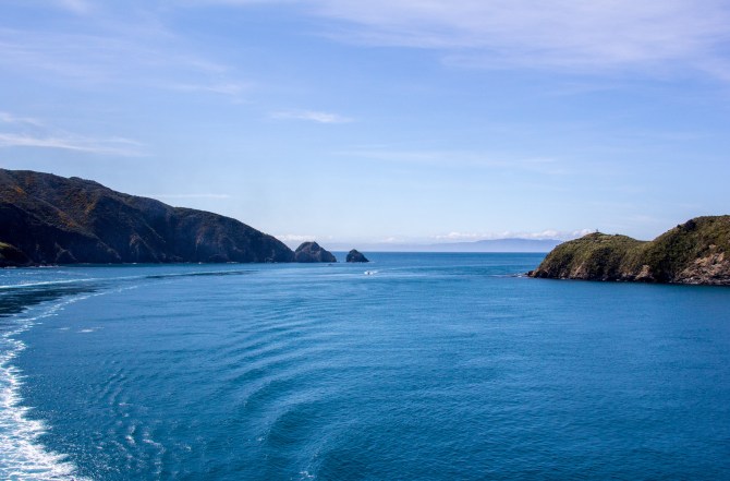 After a rough crossing of Cook Strait, turning into the Marlborough Sounds through the Tory Channel is like walking into a library off a busy street. A giant outdoor nature library on a sunny day sort of thing.