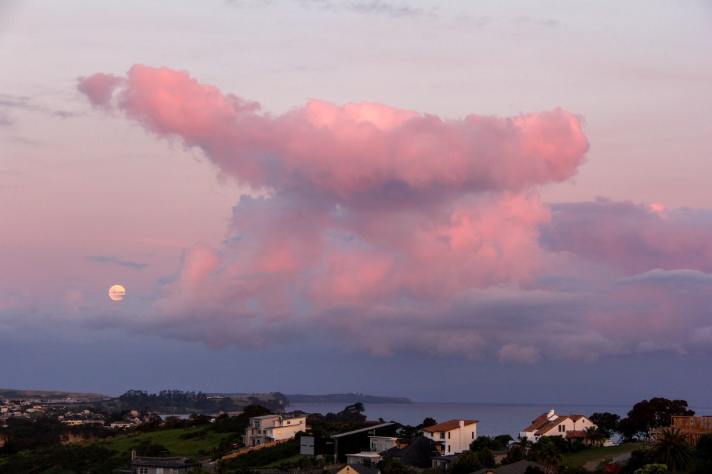 Let's face it, this looks like the end of the world. Amazing clouds with accompanying moon over Whangaparaoa Peninsular. 