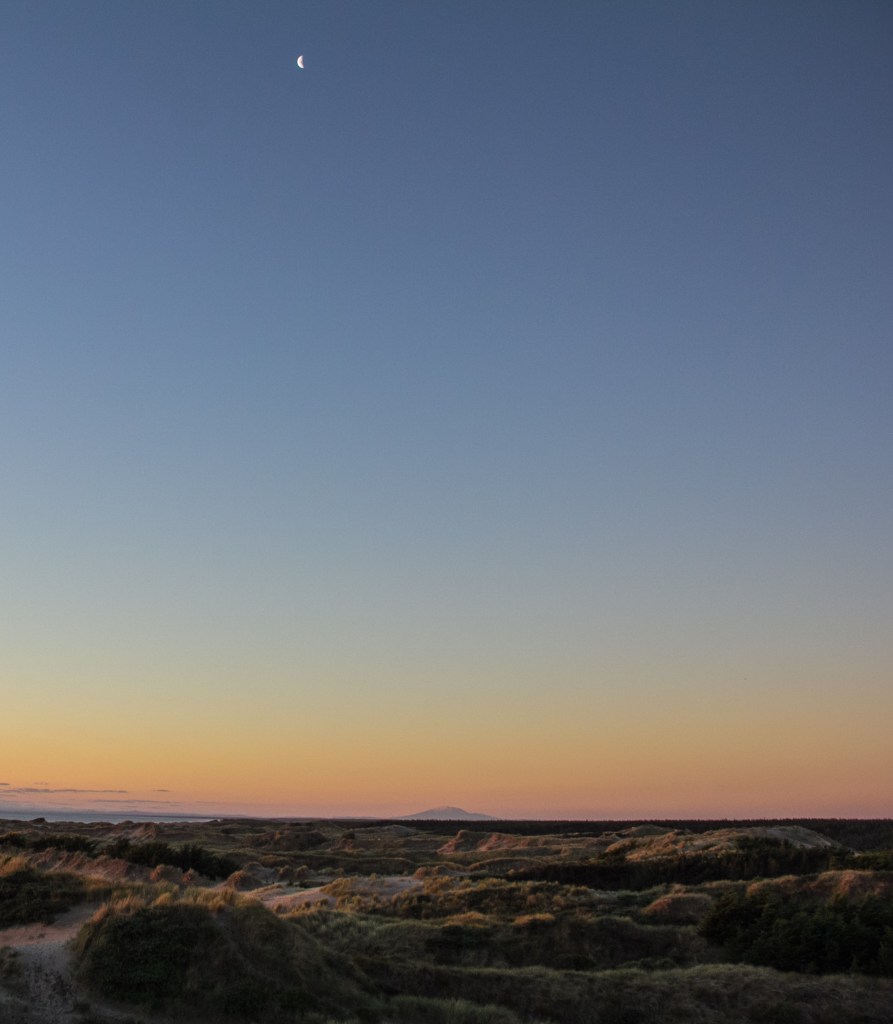 The moon, way up there, I know. But it's a big sky. Foxton Beach