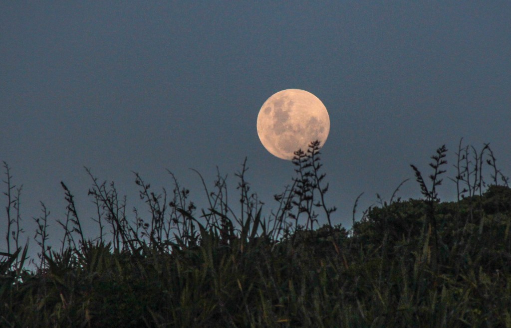 Full Moon at Muriwai Beach