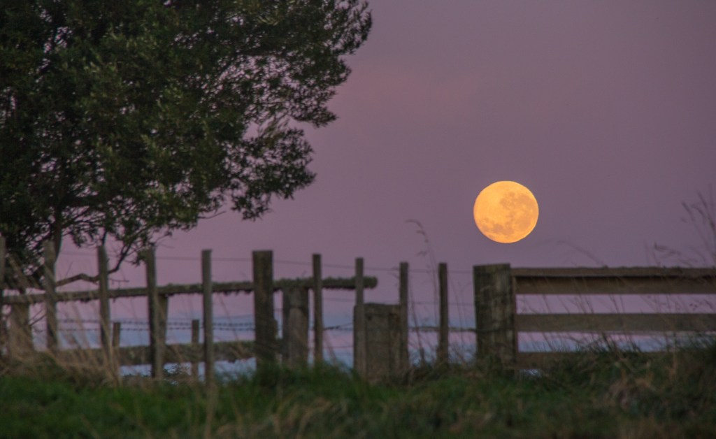 The Moon setting in the Rangitikei