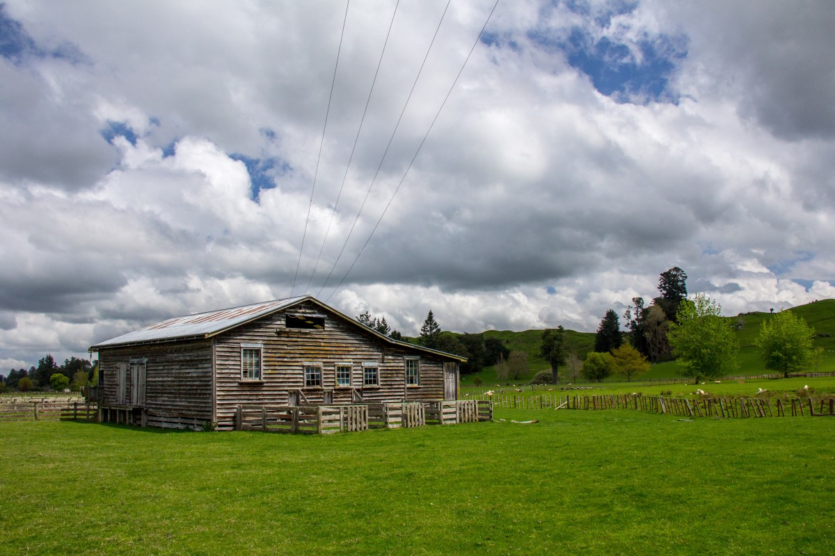 Rangiwhaia woolshed two