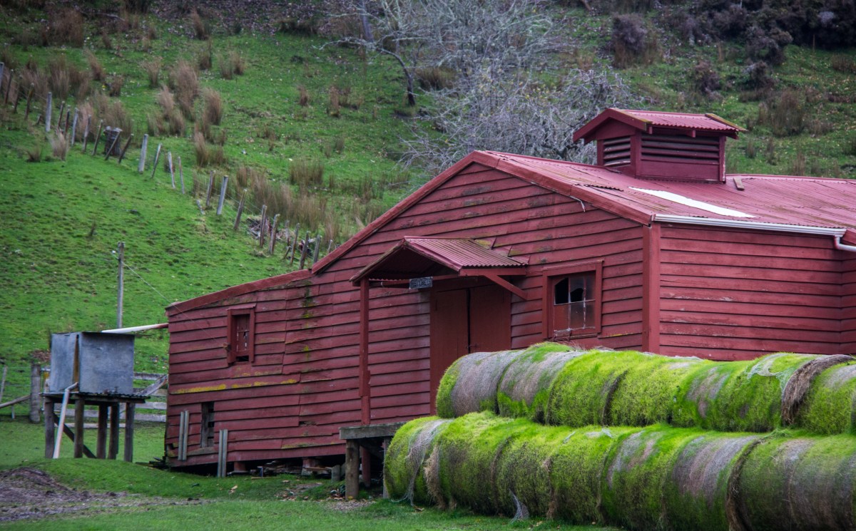 Red Shed green haybales