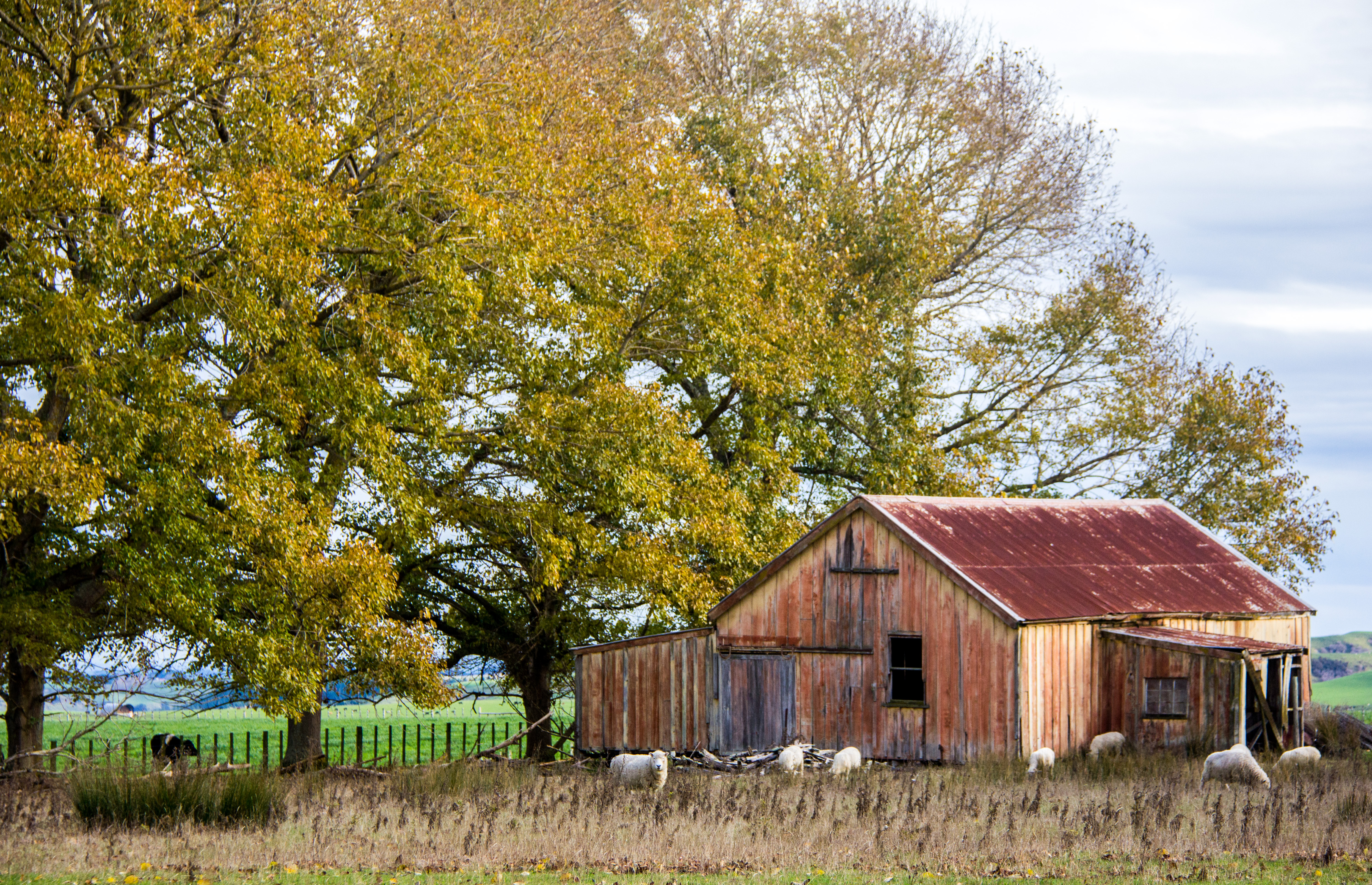Rustic Barn