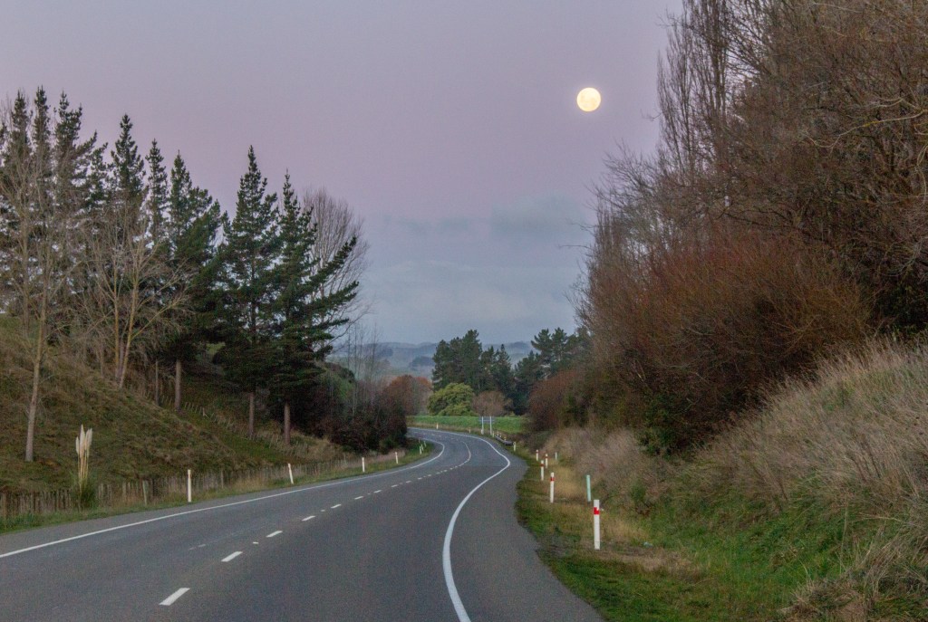 Moon rising over State Highway One. Near the Vinegar Hill SH54 turn off.